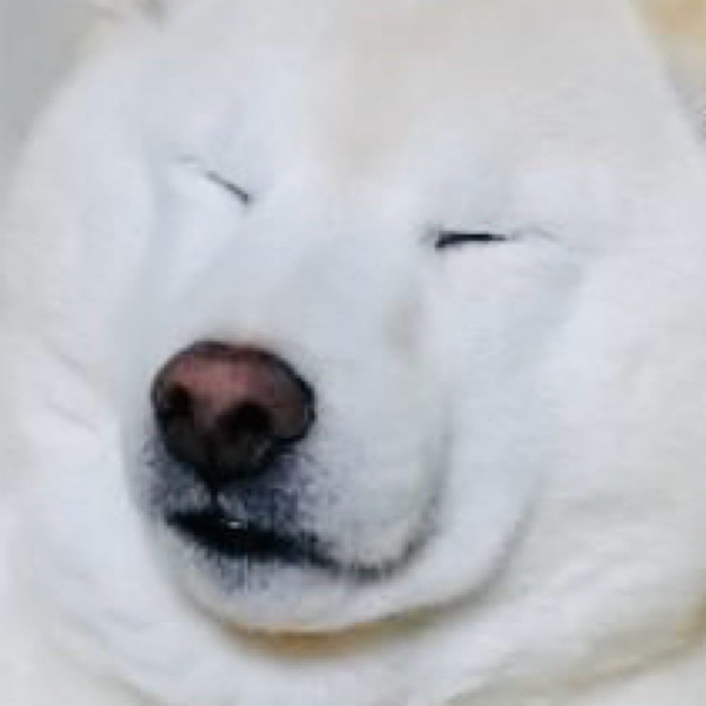 ぶどぶ