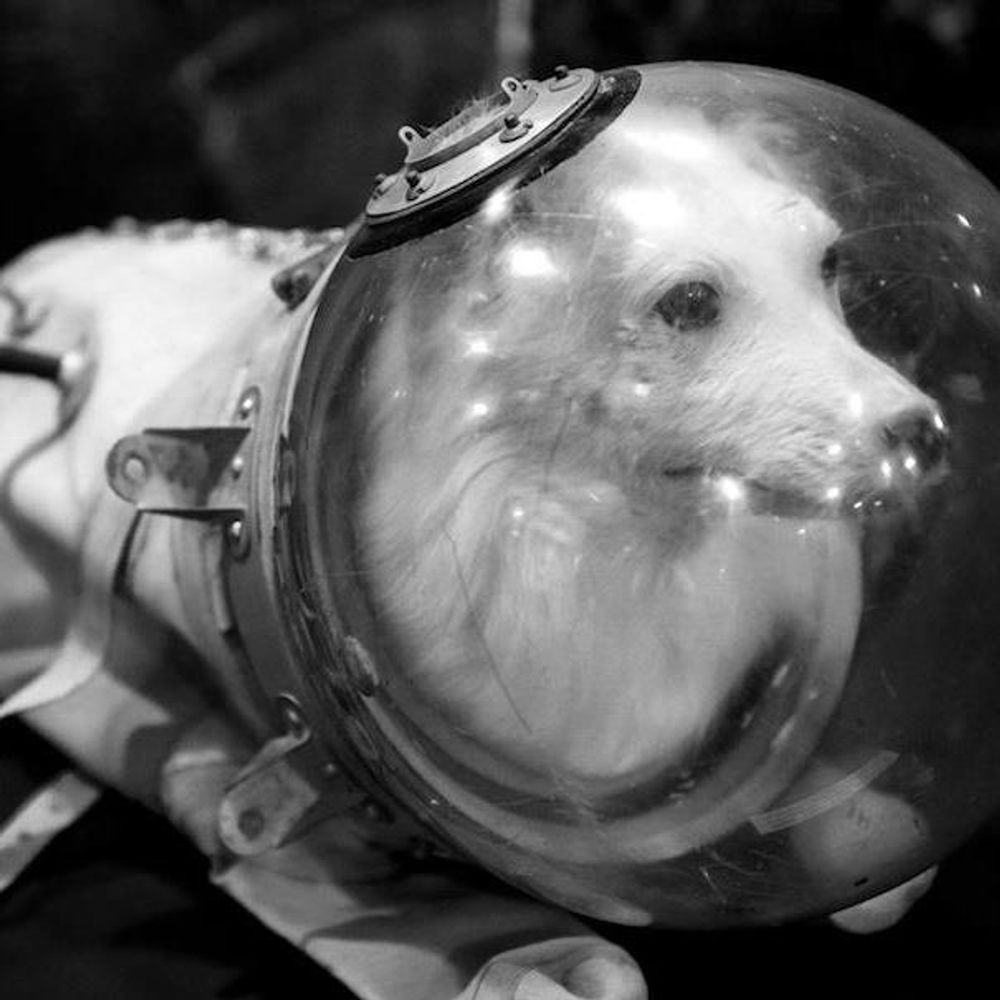 vincentsauvage777.bsky.social