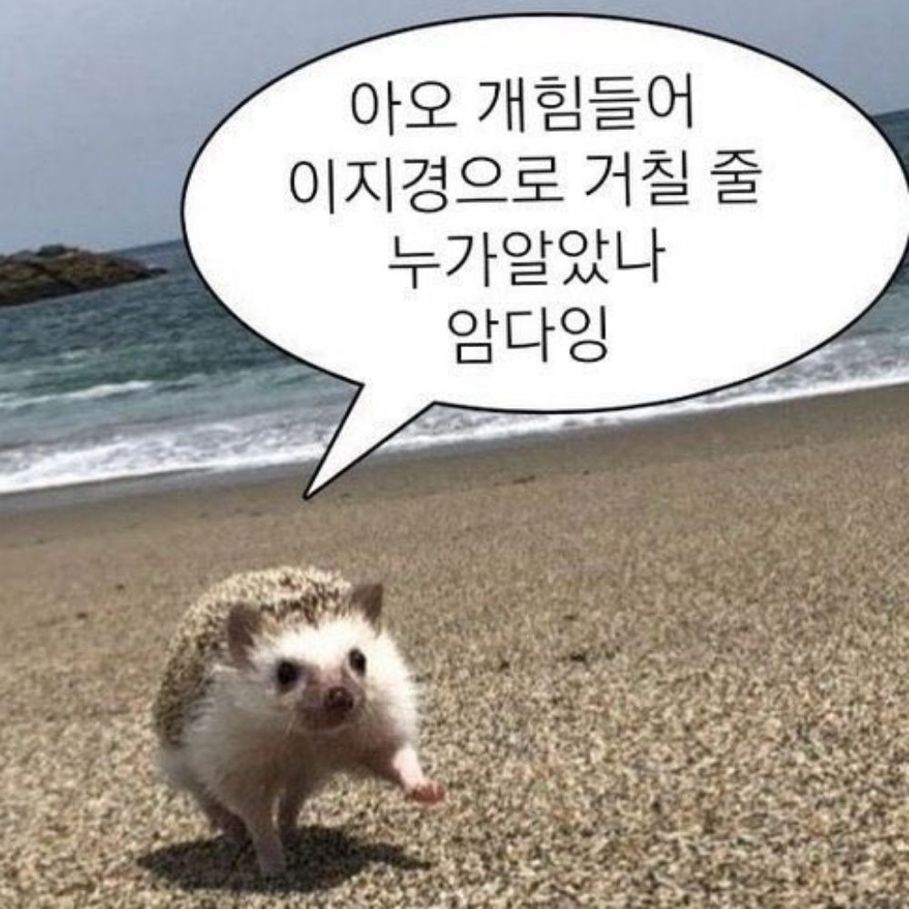 차-하까