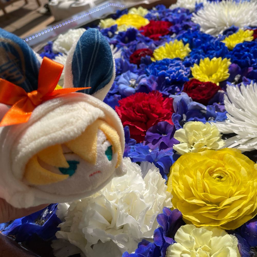 もふ