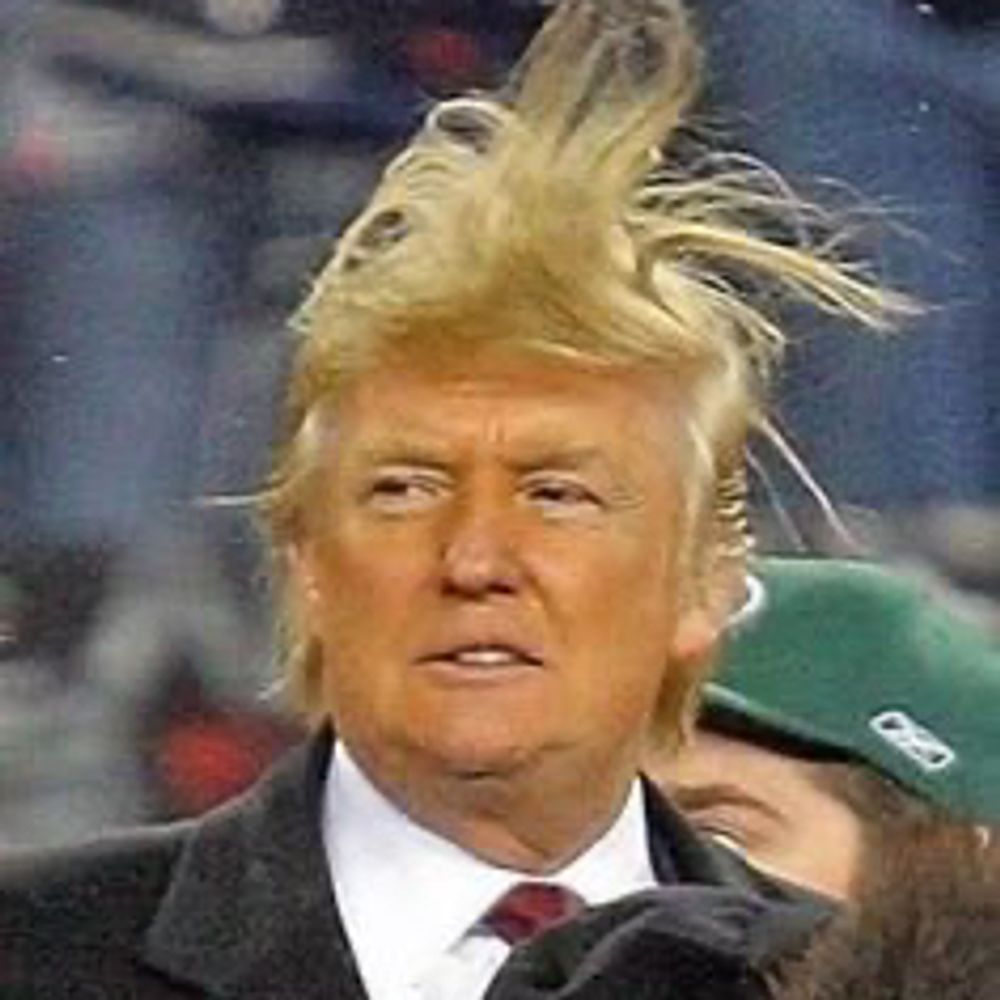 Trump Exposed