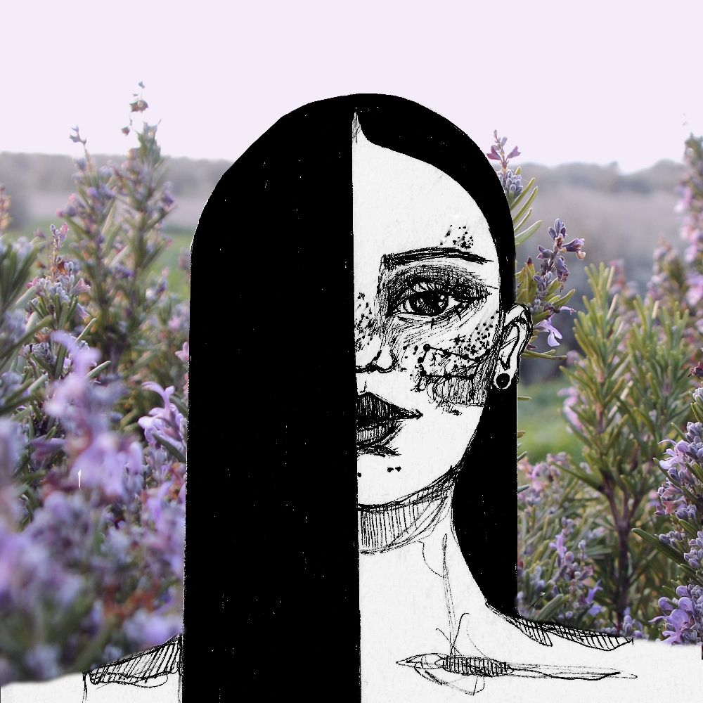 Rosario Sánchez | Artista