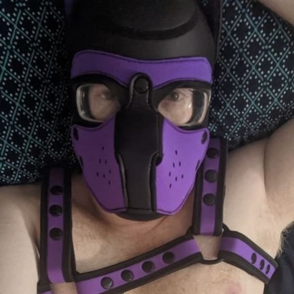 Pup Duke