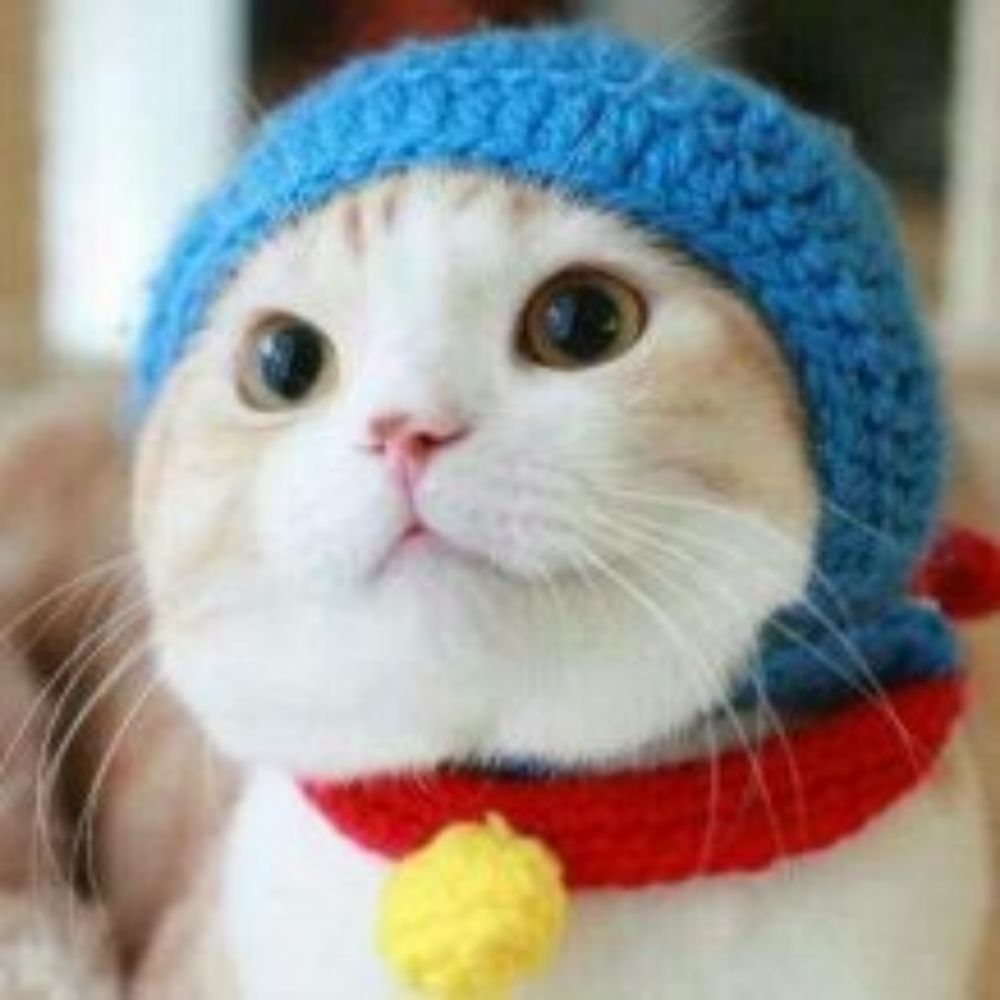 ナデナデしまくるコバ