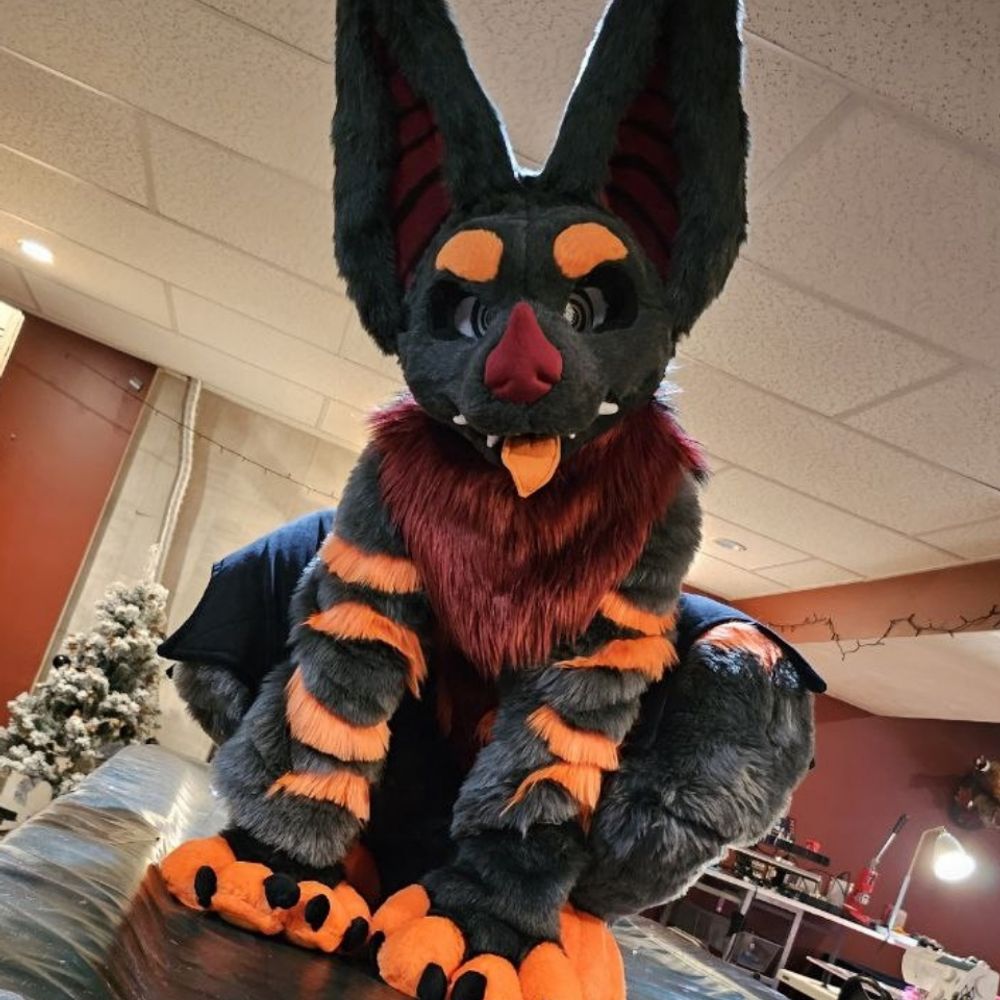 Fidget the bat