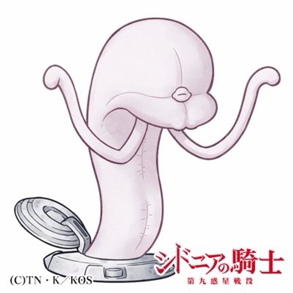 ぬこ
