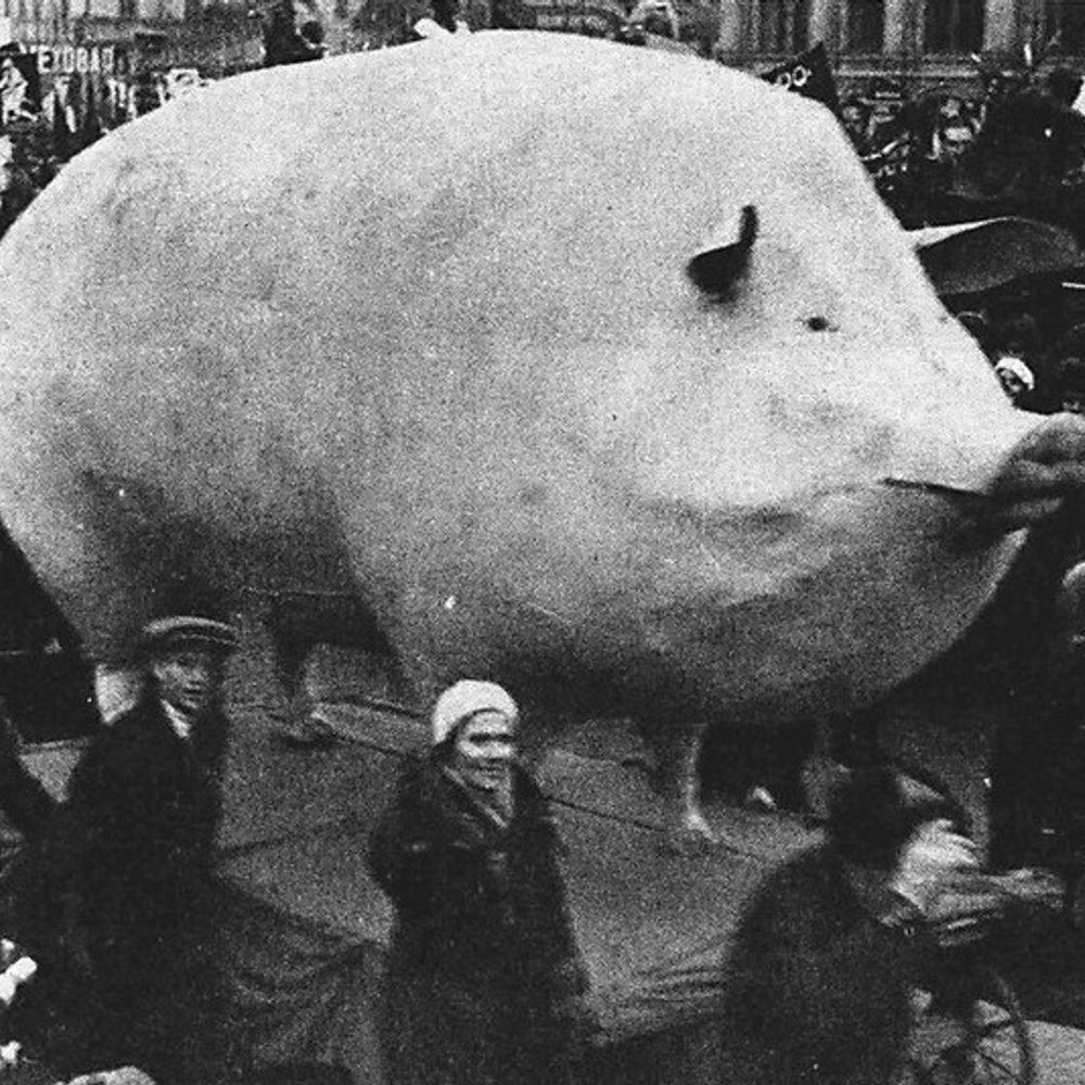Meat-Based Organism
