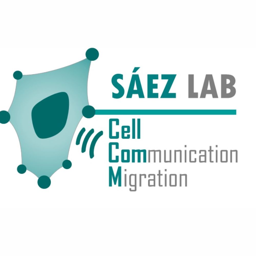 CellComM Lab