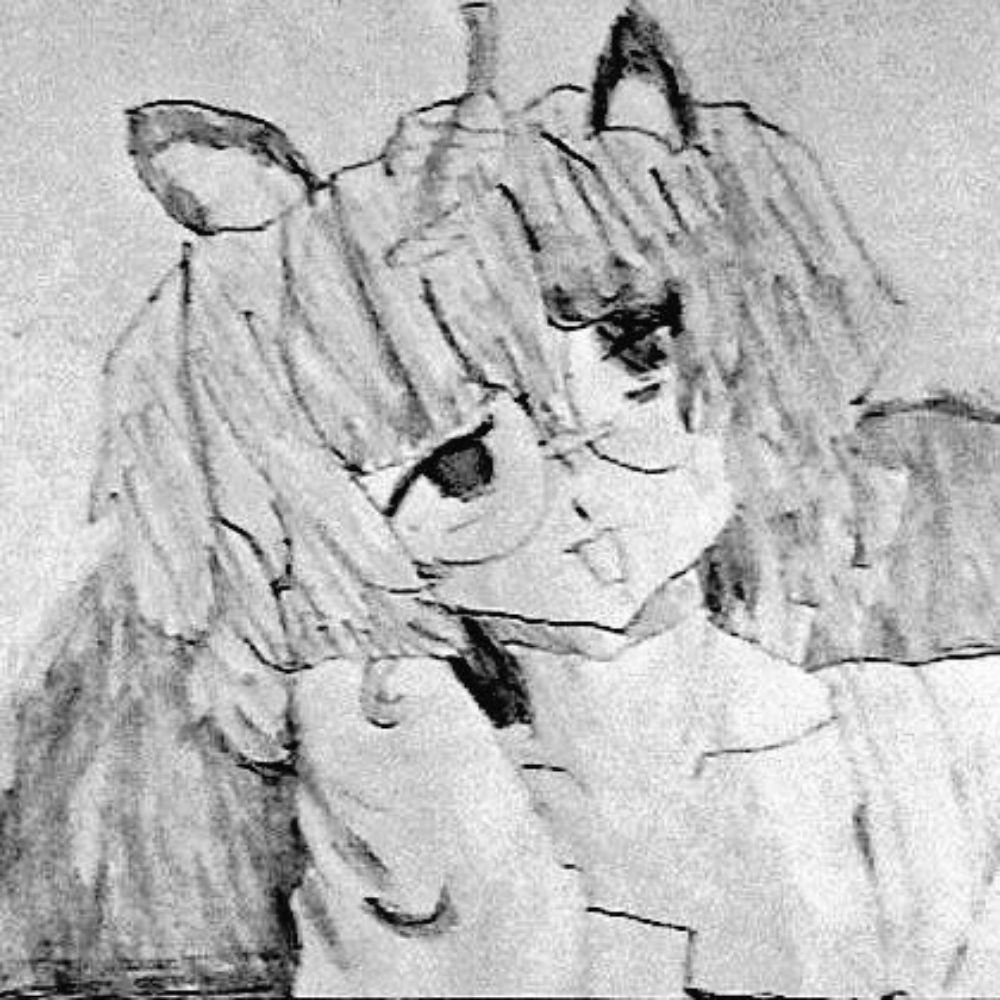メト