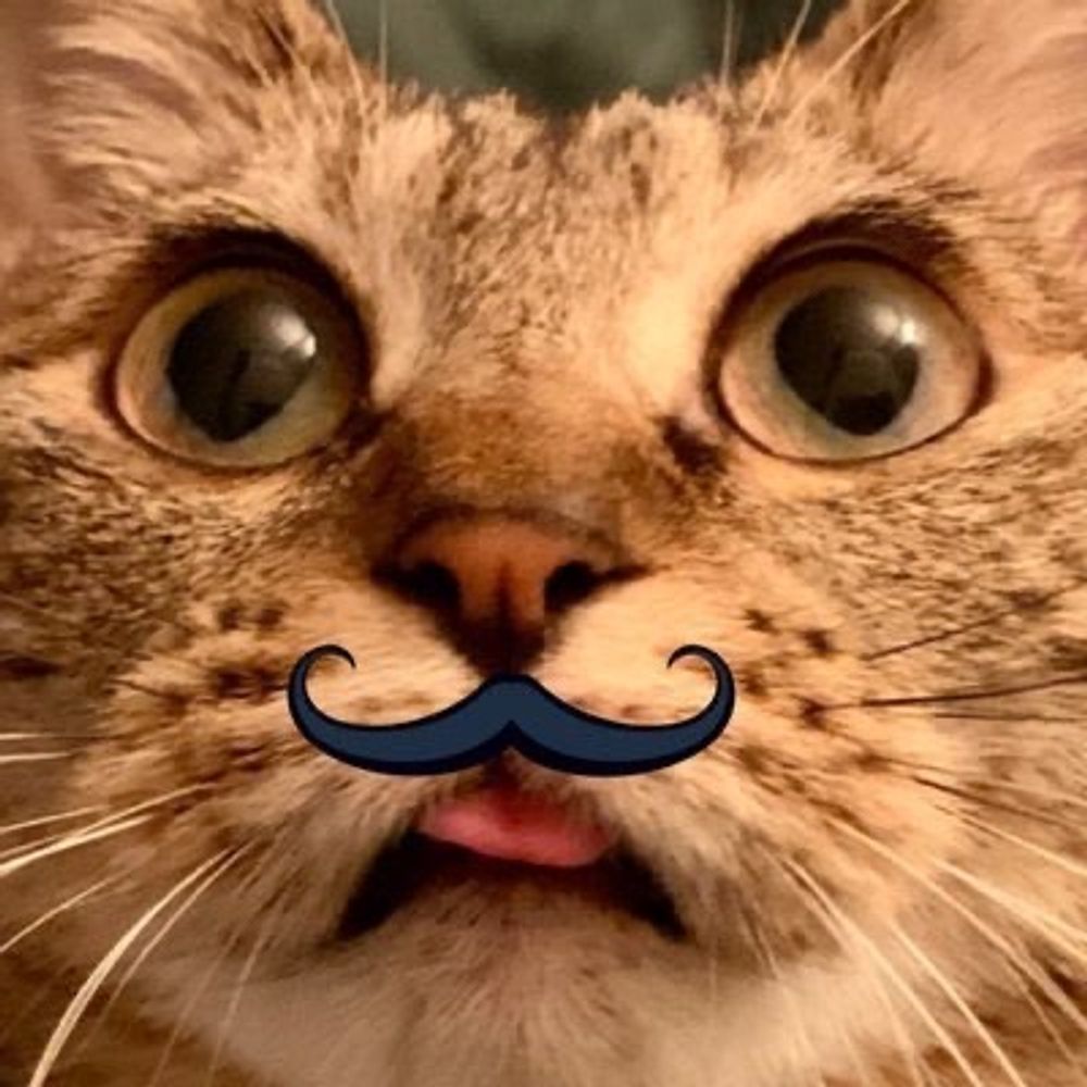 grrr_야끼