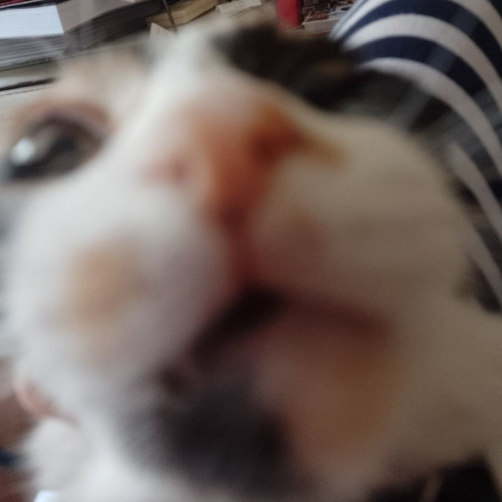 catyo_margarent
