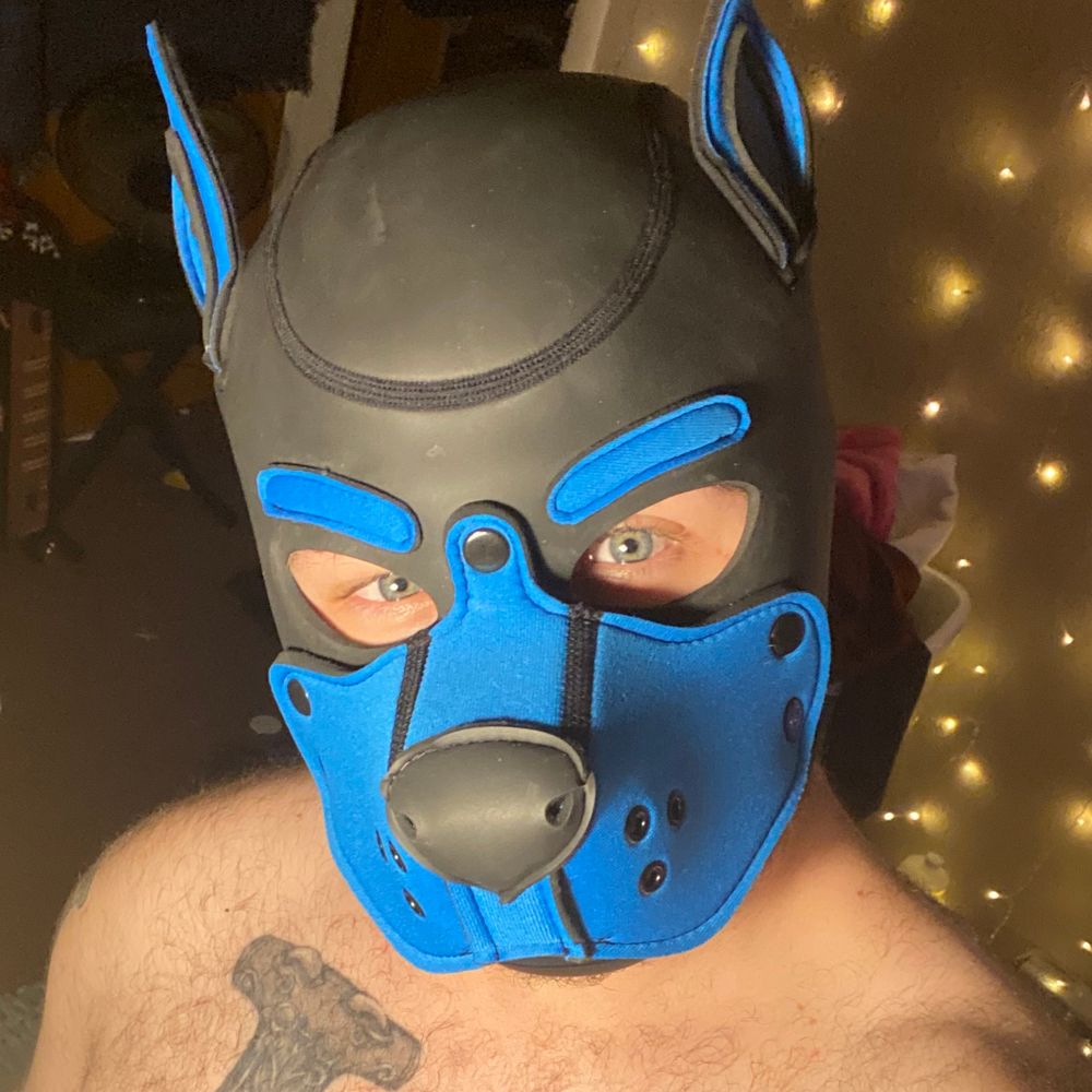 Pup Wolfie