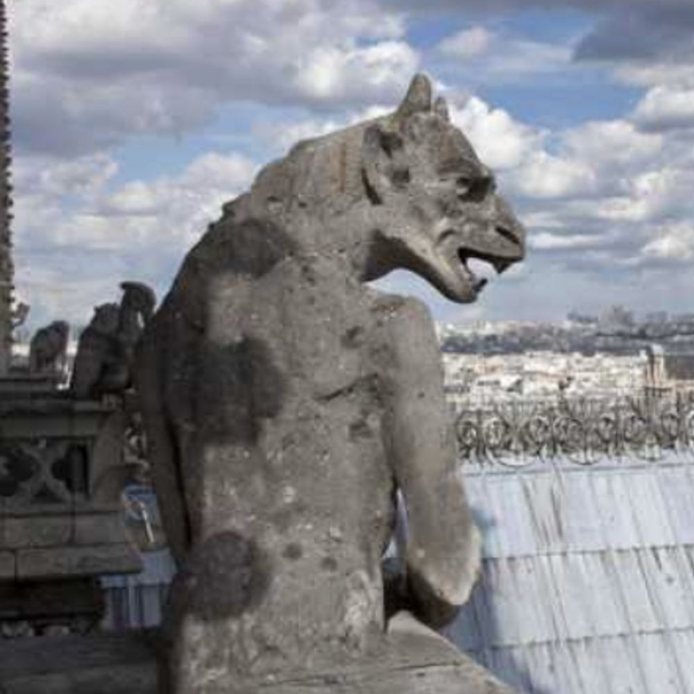 Feral Gargoyle 
