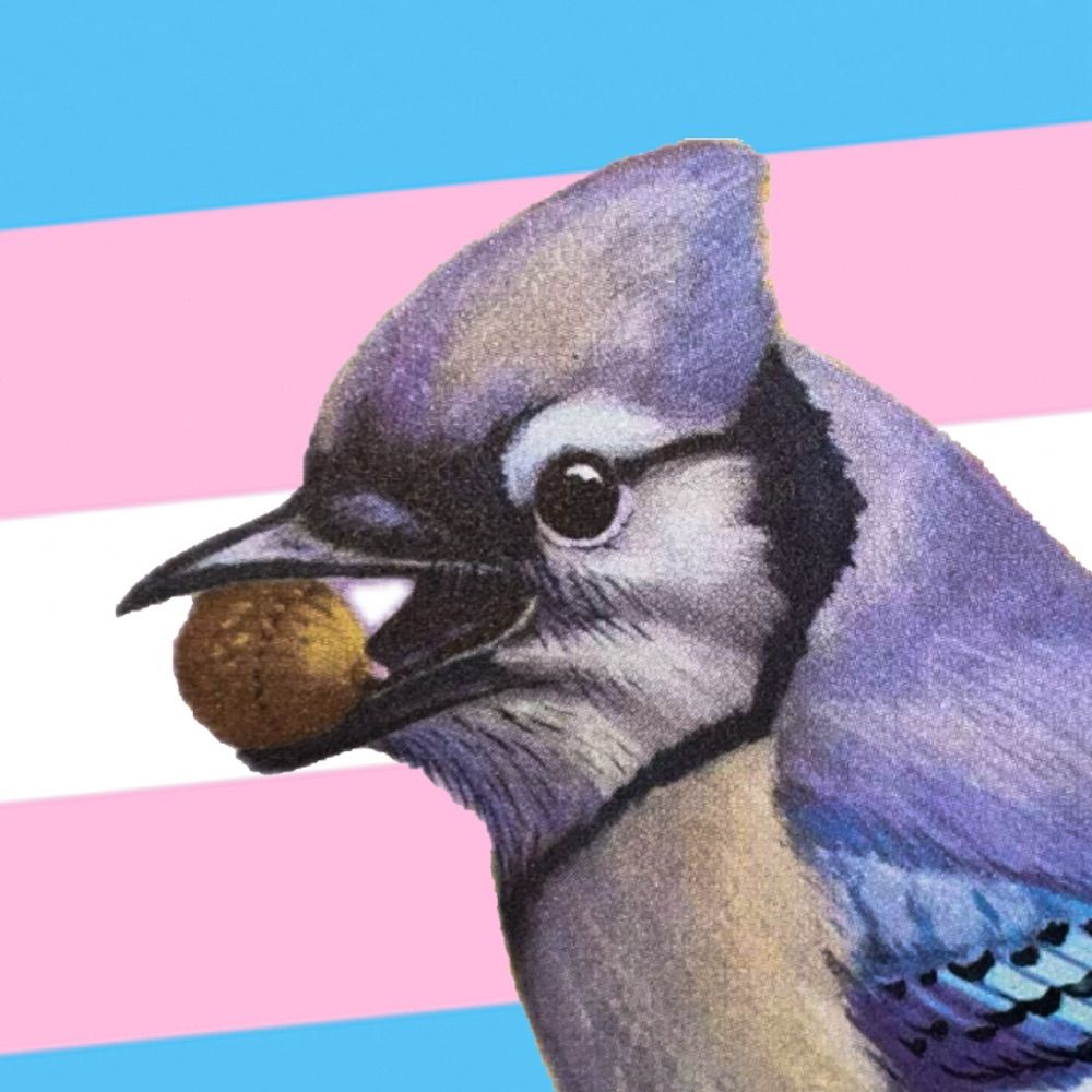 🏳️‍⚧️Michigaynder🏳️‍🌈 🔞