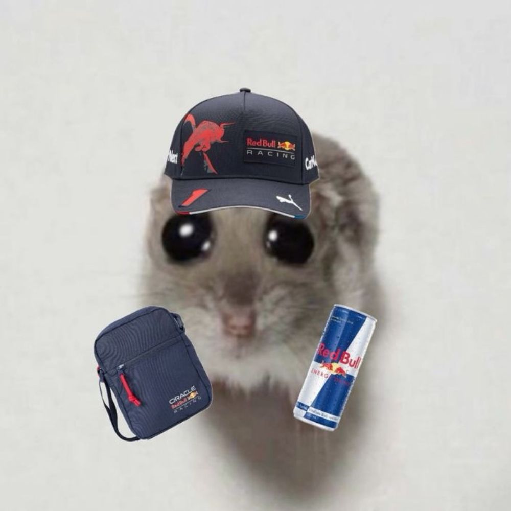 ♥Shadow_verstappen♥