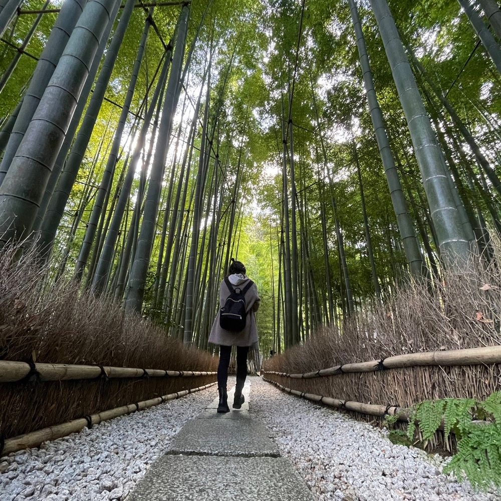 烈