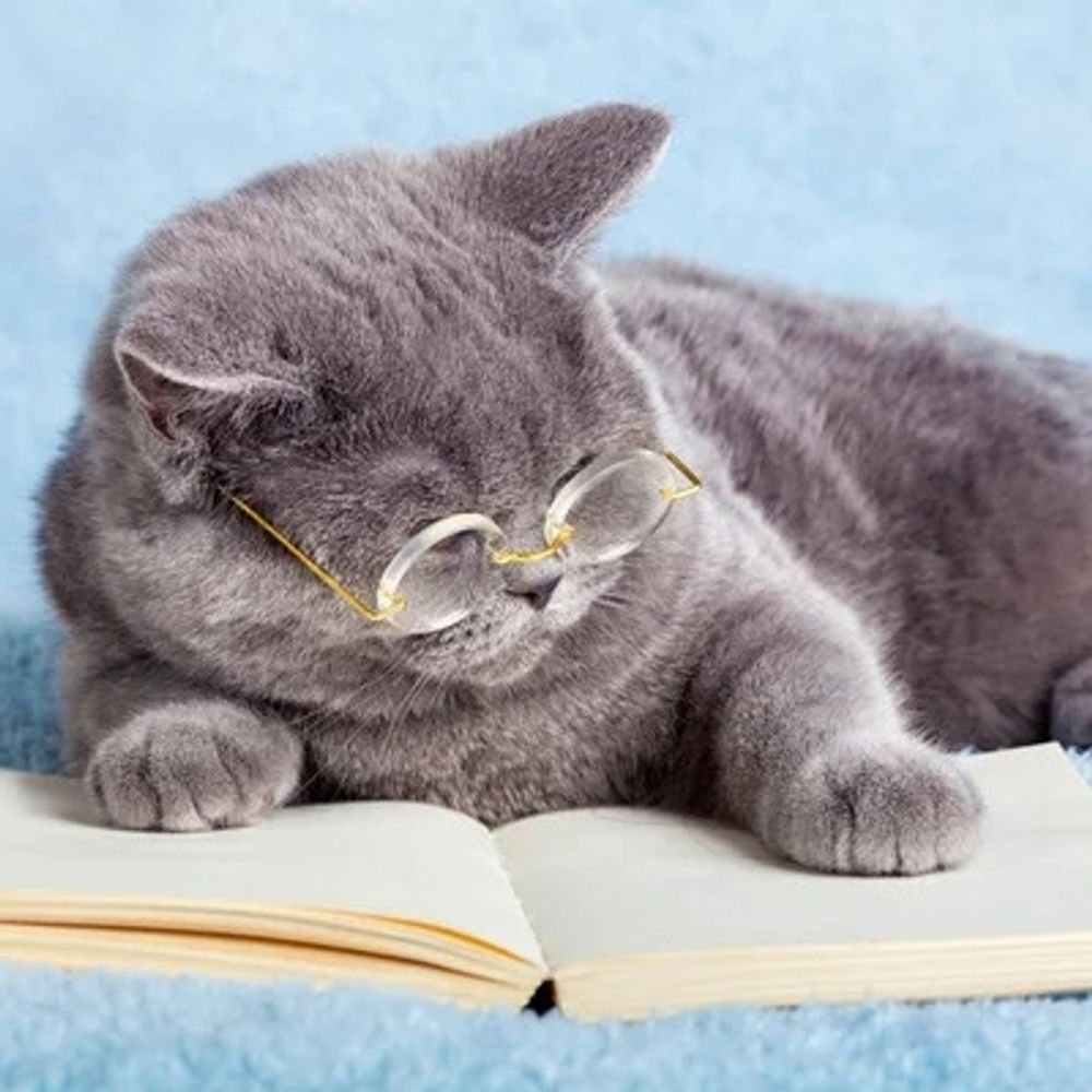 📖 lendo e aprendendo