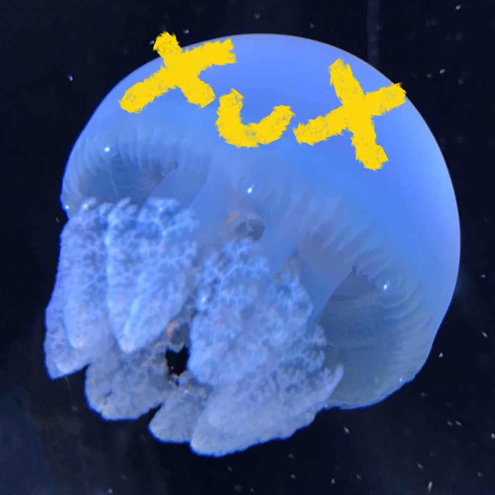 じ