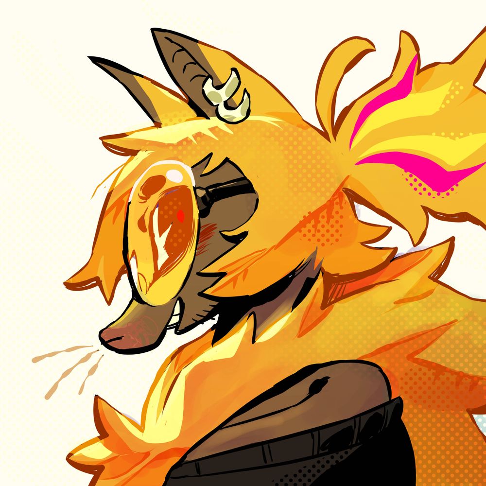 Luci