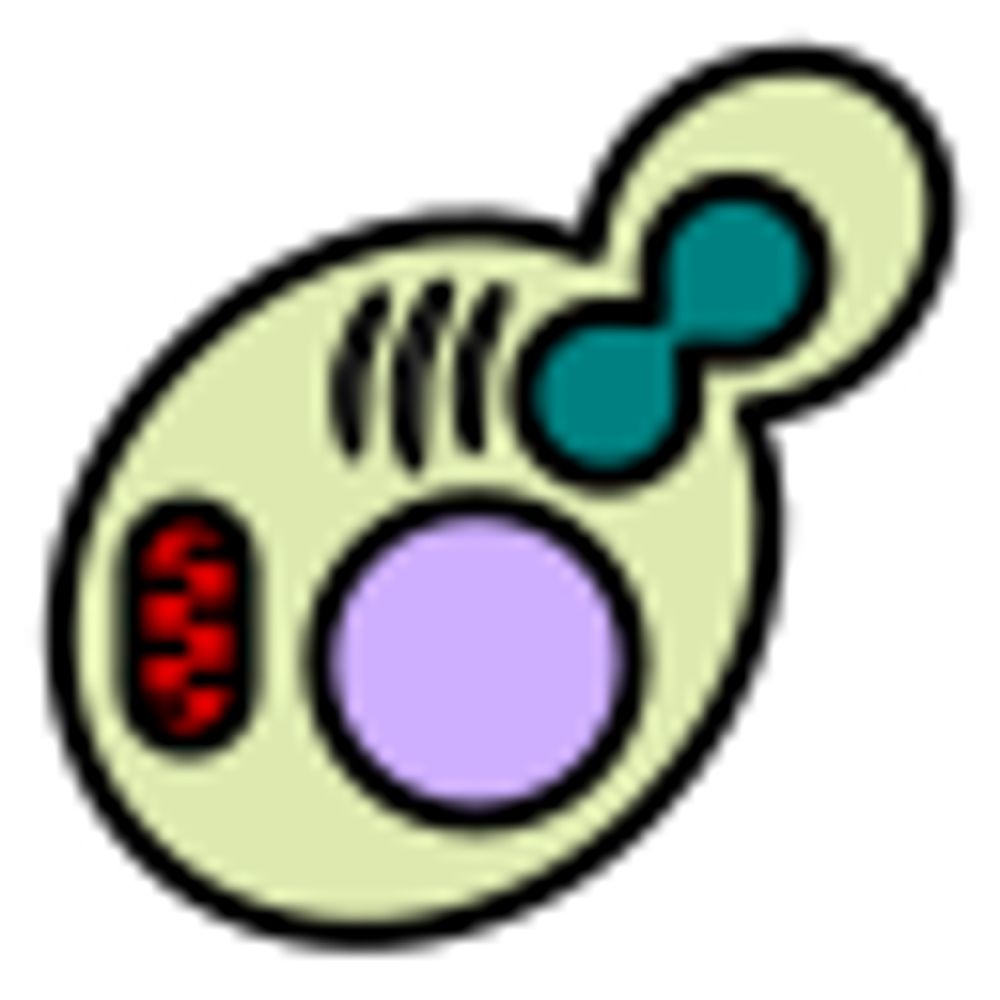 Drummond Lab