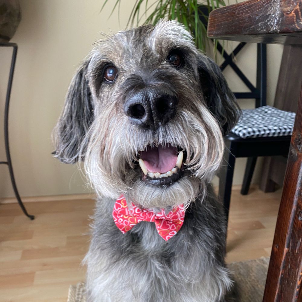 Sprocket