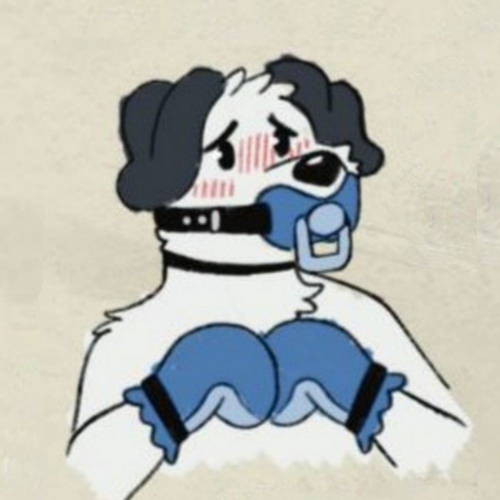 puppy @ bfc (bully me)