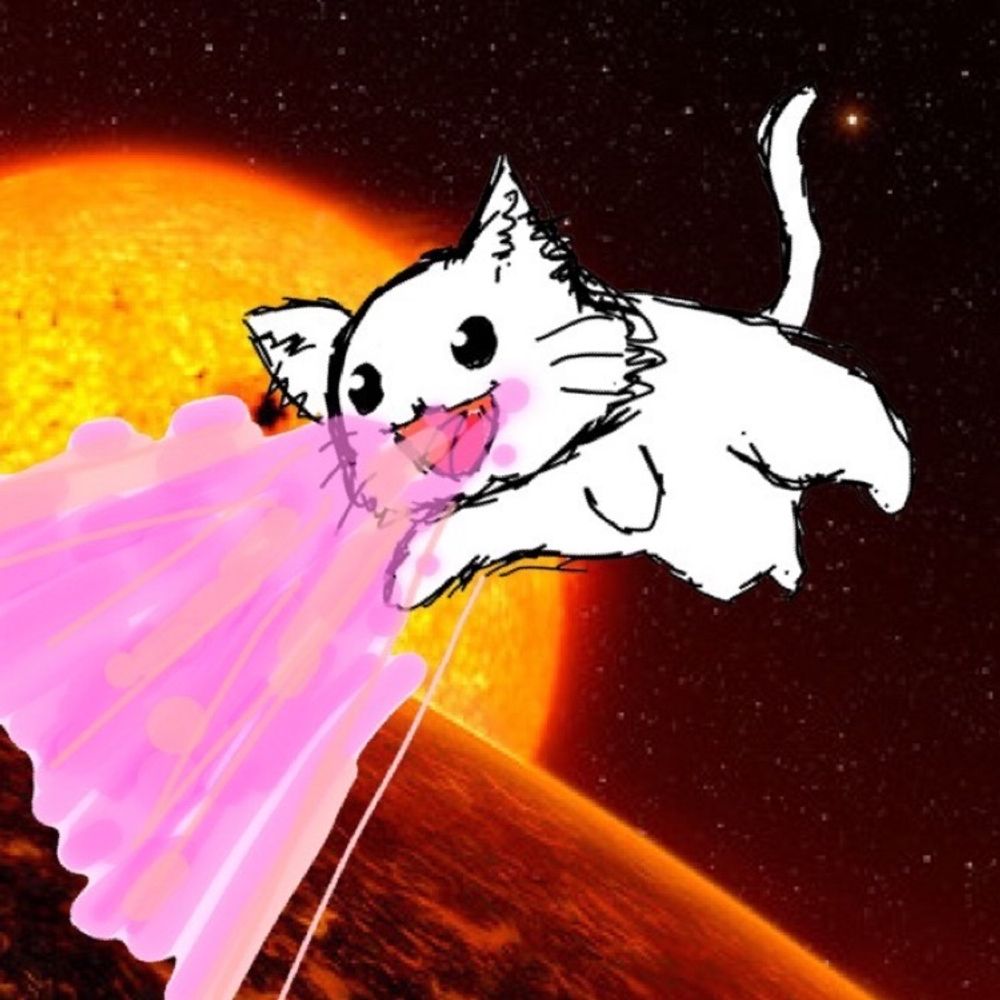 えいん❀🐾₍˄·͈༝·͈˄*₎◞ ̑̑ ﾈｺﾊﾟｿﾁ