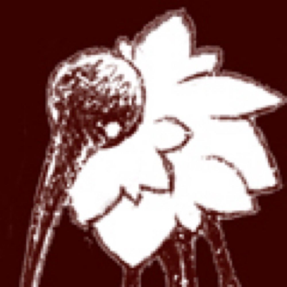 トト
