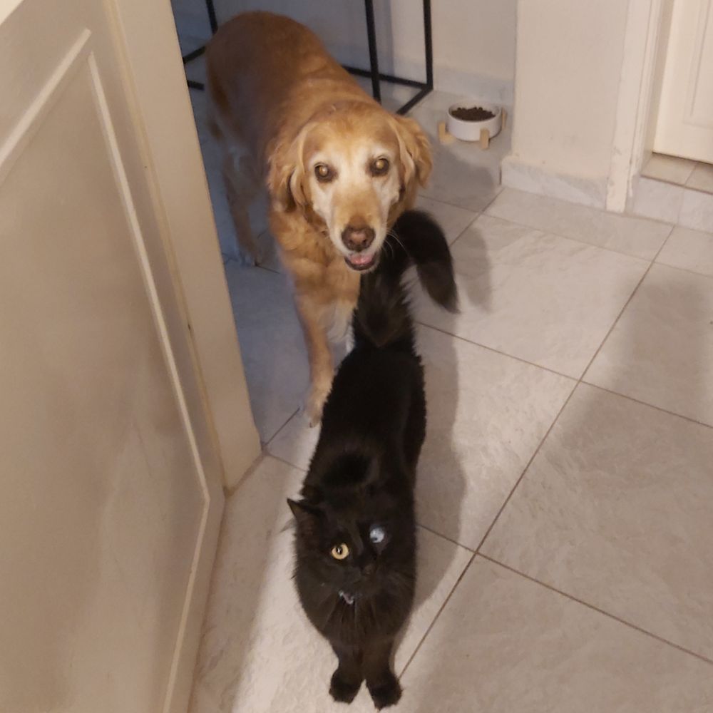 Hayat & Muffy