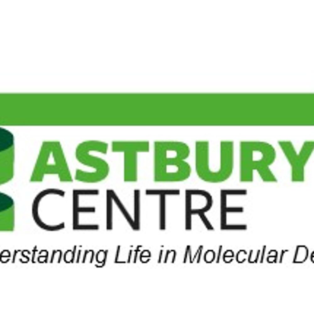 The Asbury Centre