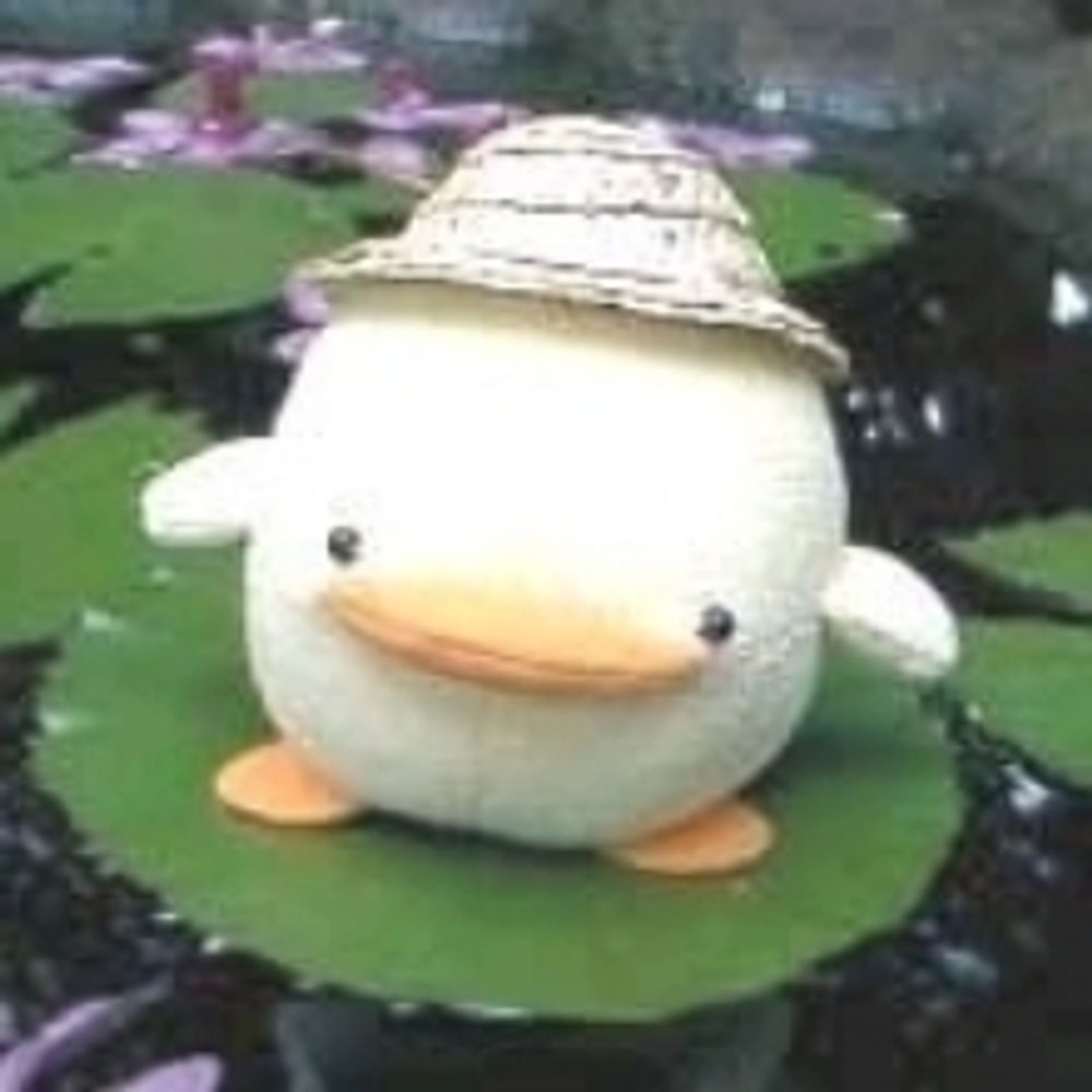 ぴぴぴのぴよこ