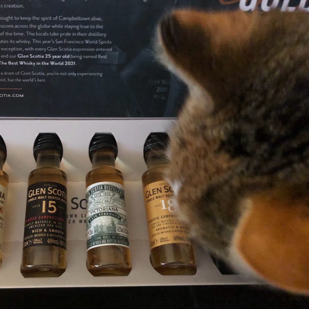 WhiskynWhiskers🥃🐈
