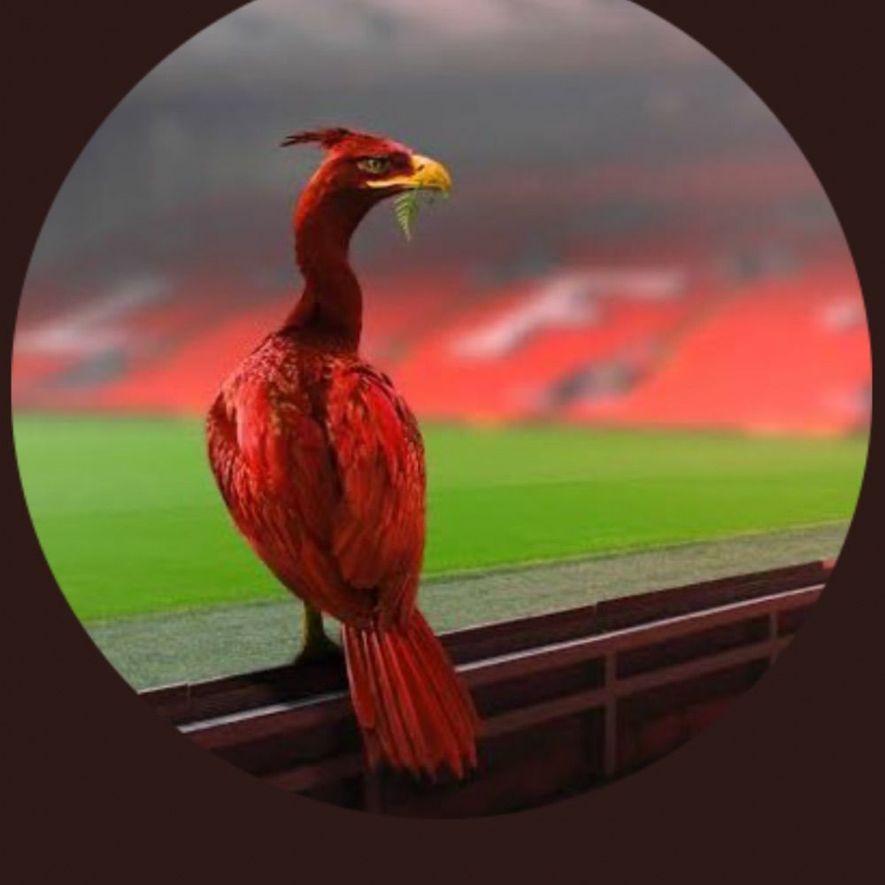 LFC Lambretta