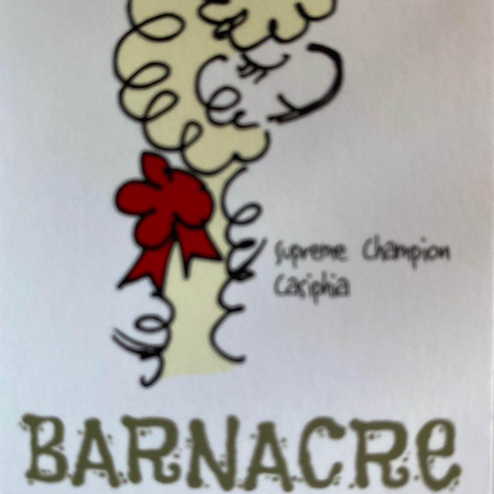 Barnacre Alpacas