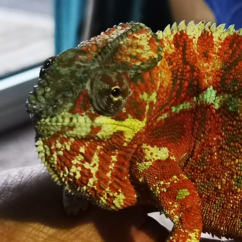 's avatar