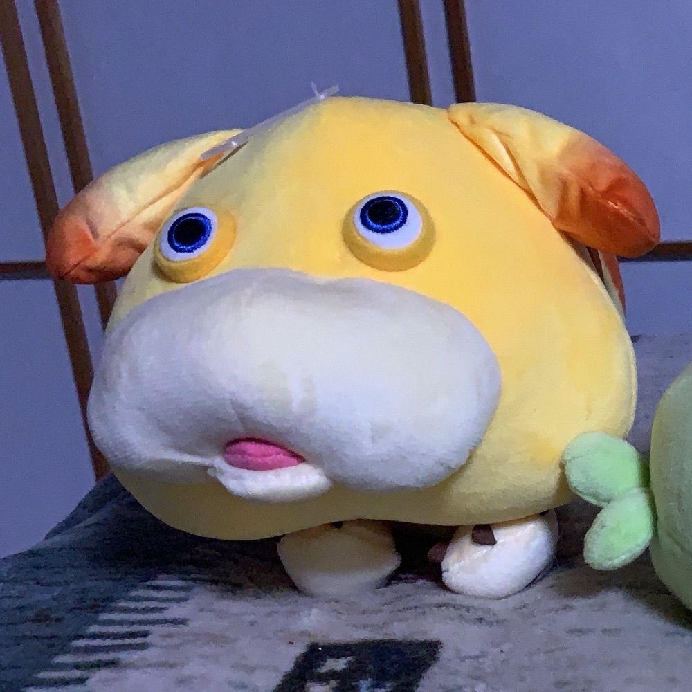 もにもに