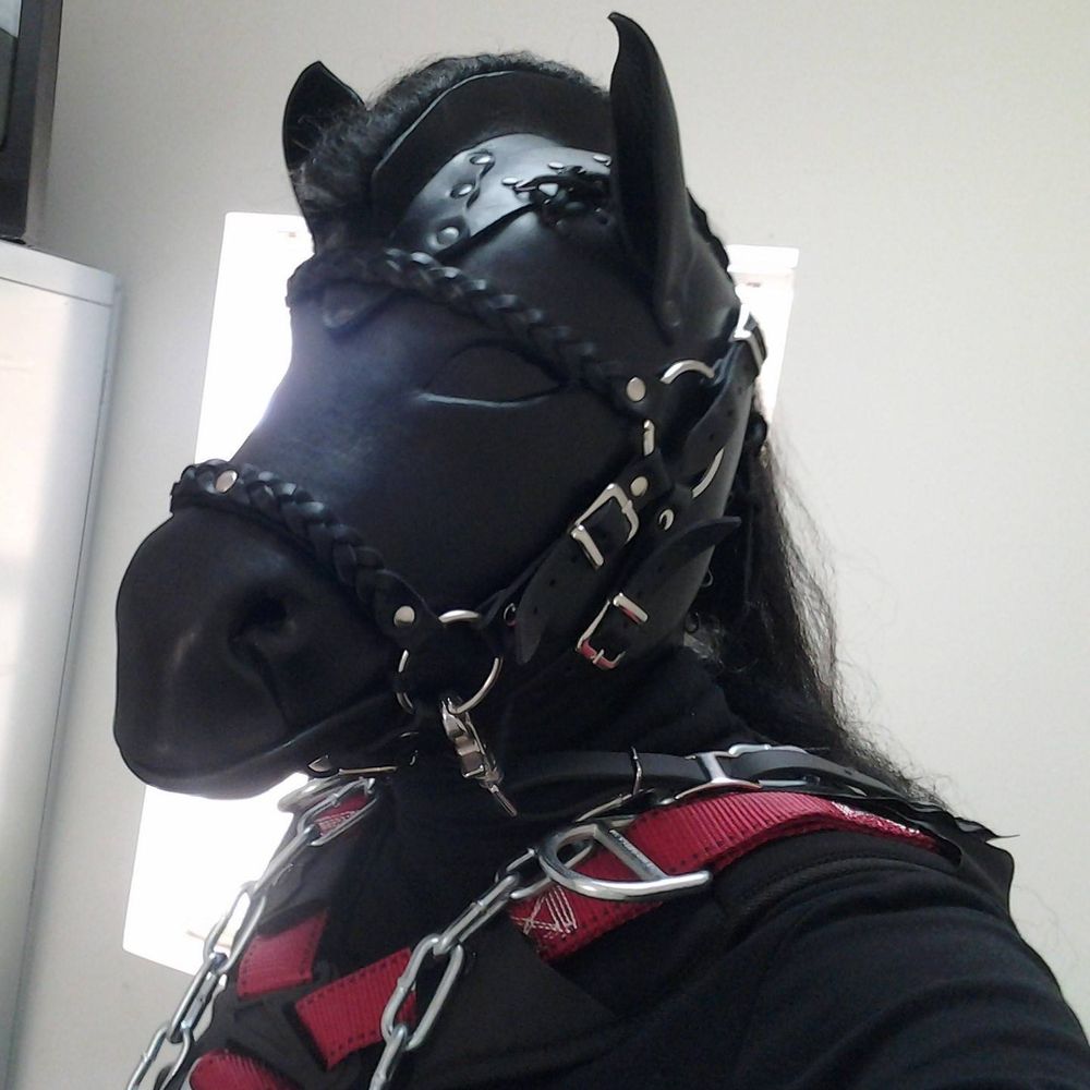 GreyPon3