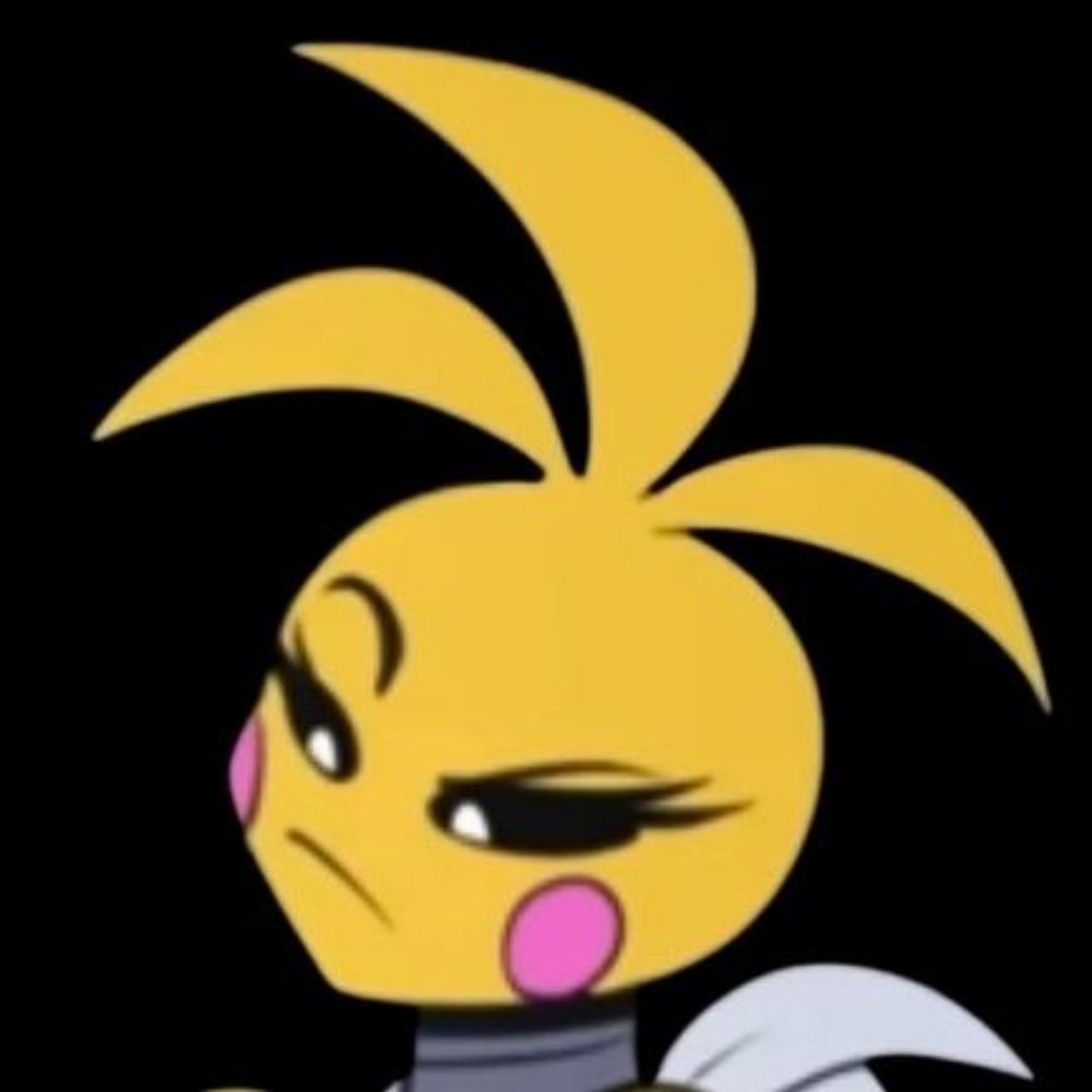 𝙲𝚑𝚒𝚌𝚊 ✧･ﾟ: *