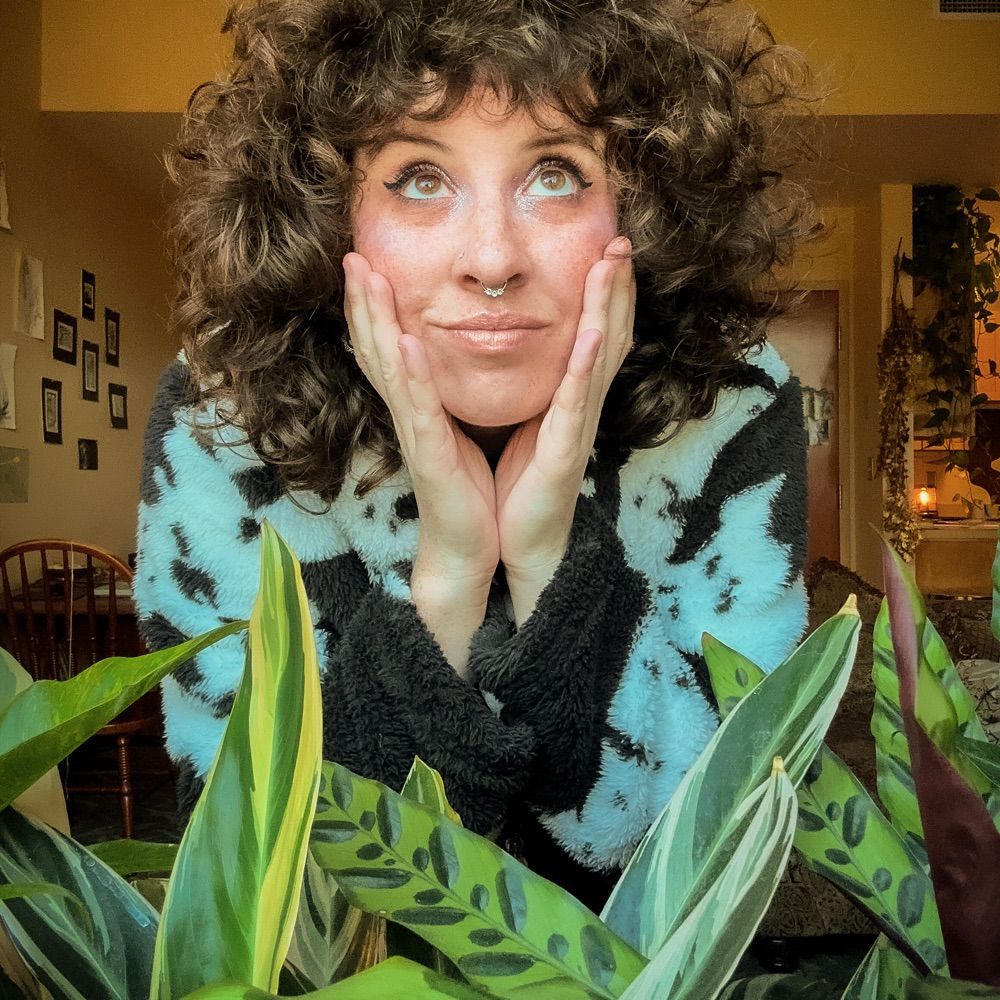peregrin plants