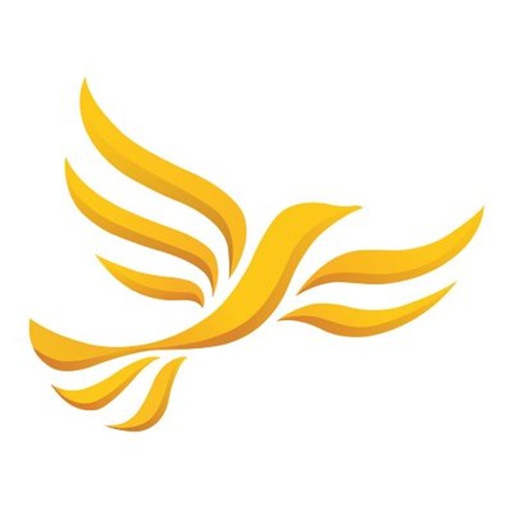 Dorking and Horley (Mole Valley) Lib Dems