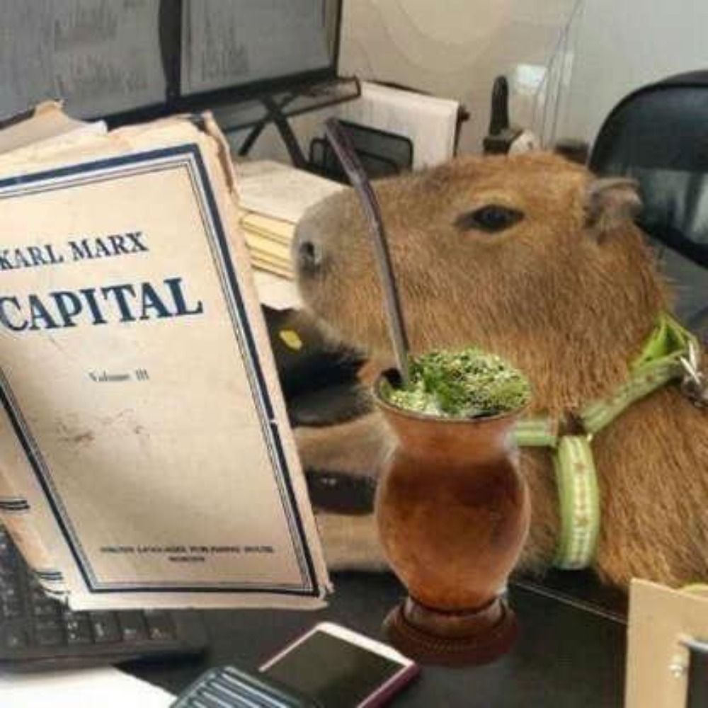 motocada da kamala harris em iguatu-ce™️