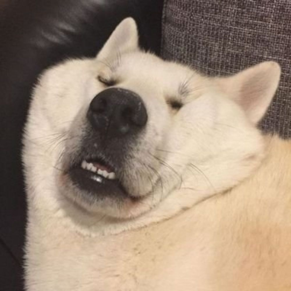 쀅