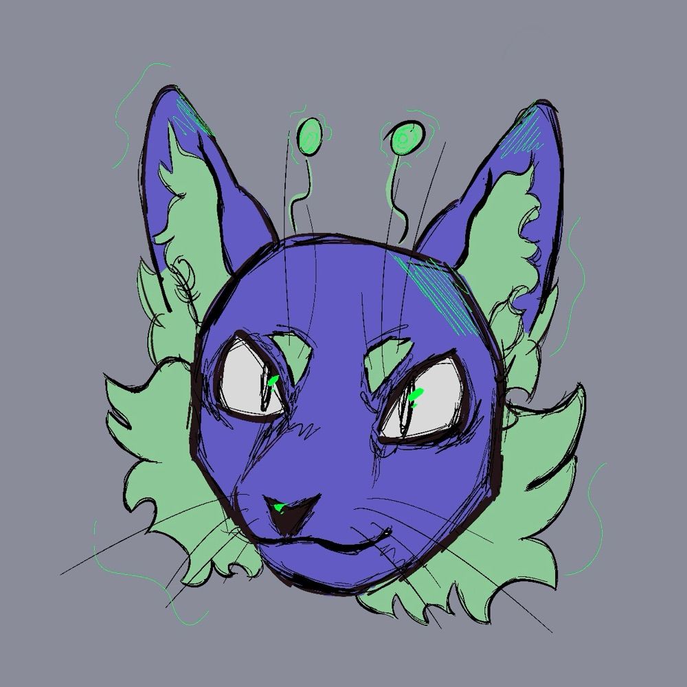 wZee