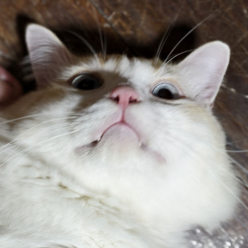 Nimbus