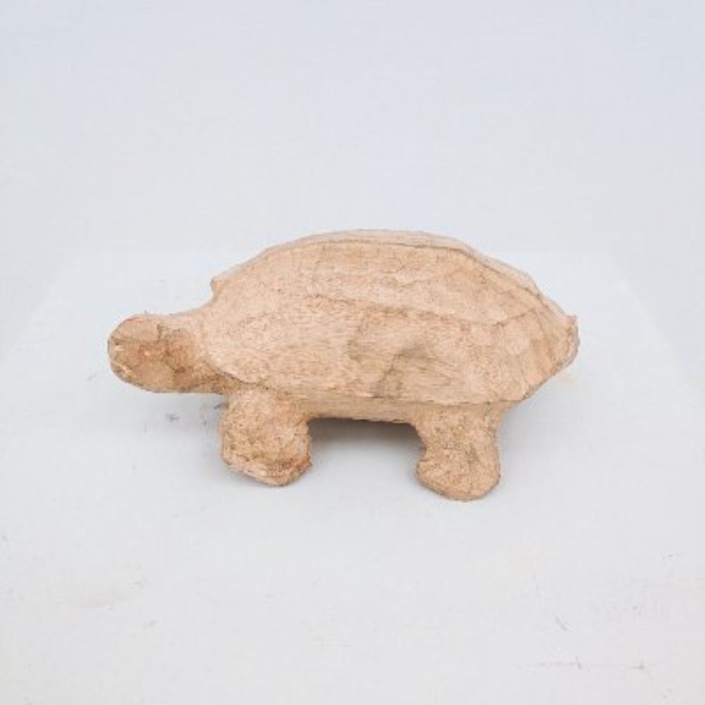 🐢