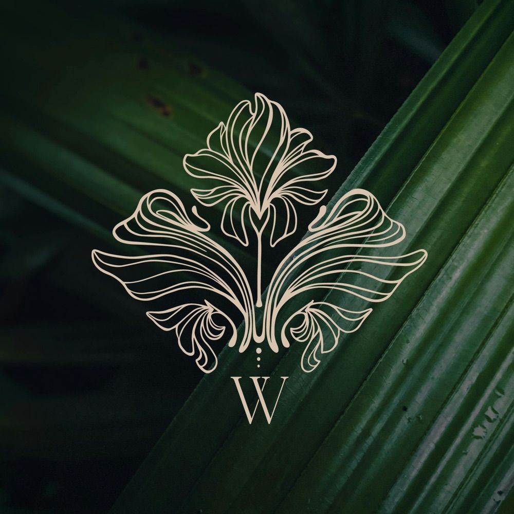 Danielle | Branding and Squarespace designer