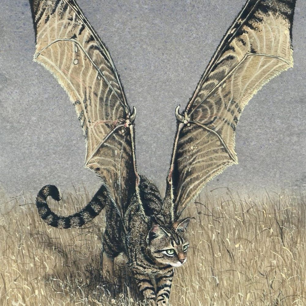 Dungus