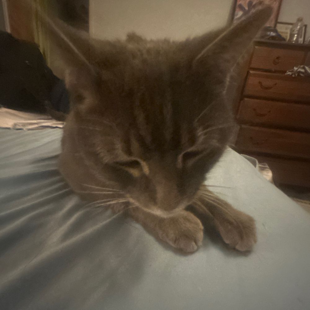 Evil fucked up creature