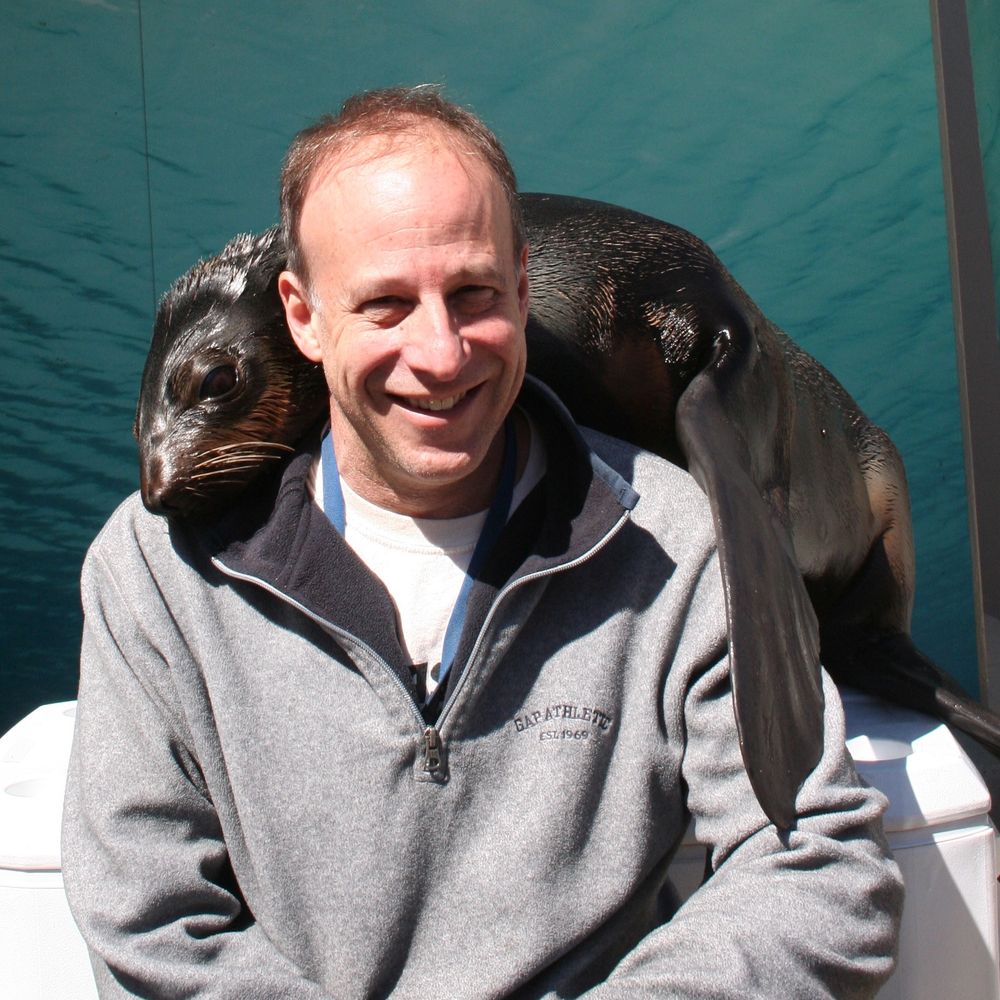Dave Rosen