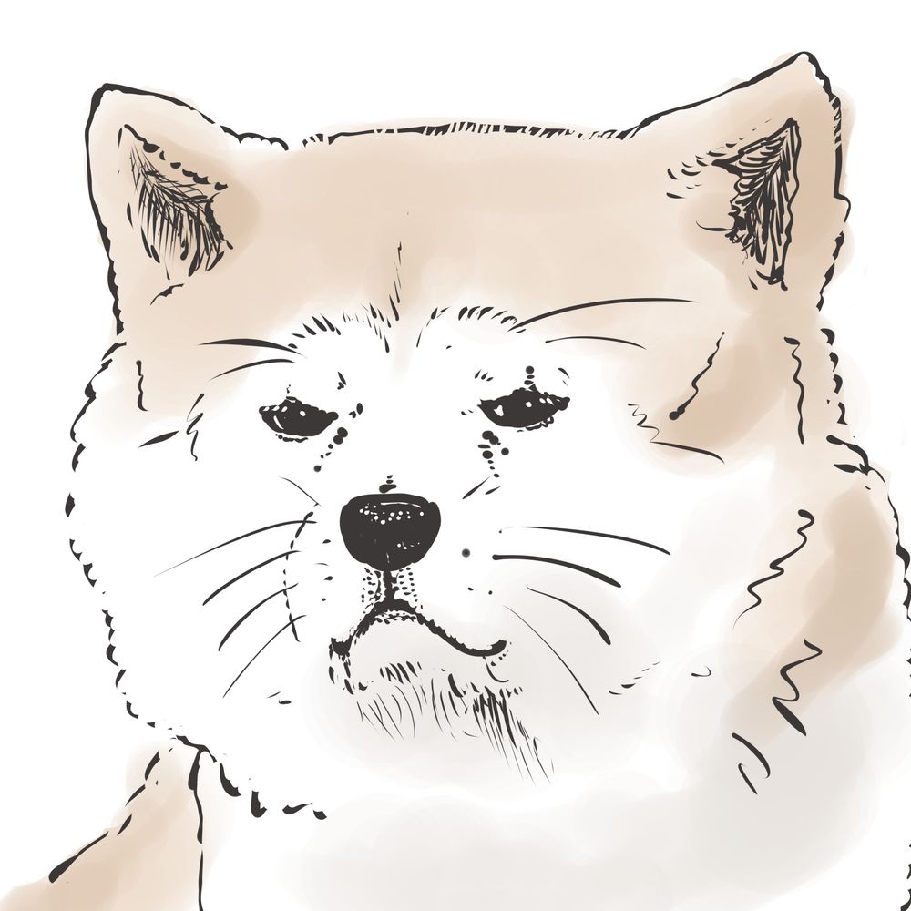 けじ